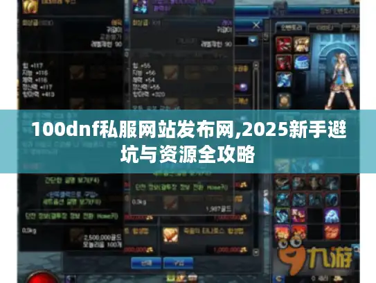 100dnf私服网站发布网,2025新手避坑与资源全攻略 100dnf私服网站发布网,2025新手避坑与资源全攻略
