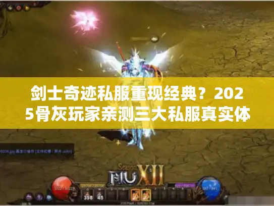 剑士奇迹私服重现经典？2025骨灰玩家亲测三大私服真实体验