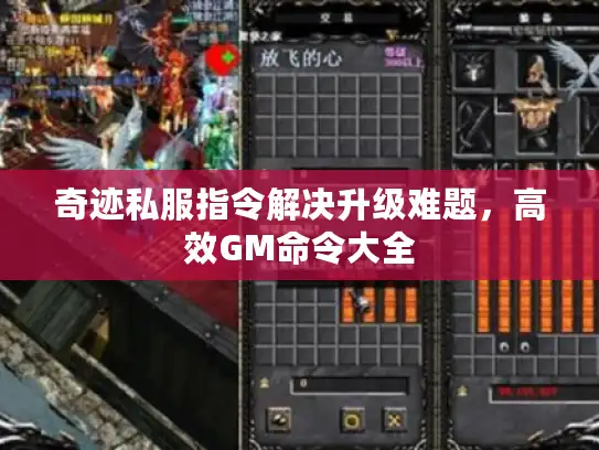 奇迹私服指令解决升级难题，高效GM命令大全