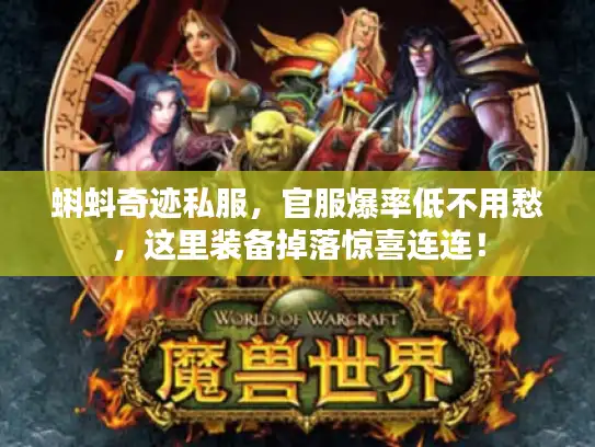 蝌蚪奇迹私服，官服爆率低不用愁，这里装备掉落惊喜连连！