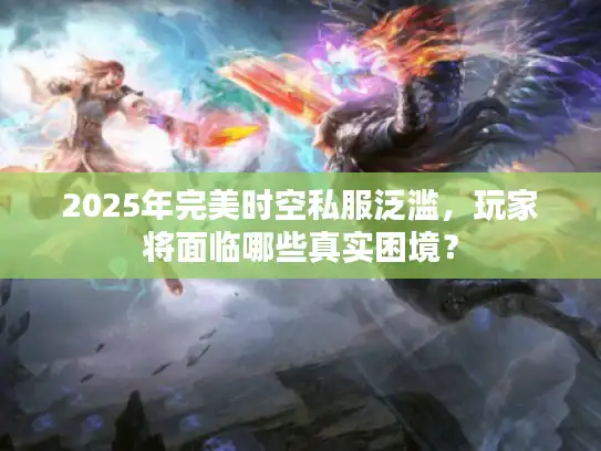 2025年完美时空私服泛滥，玩家将面临哪些真实困境？
