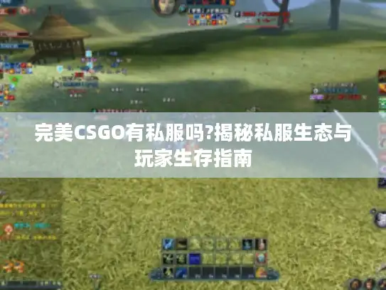 完美CSGO有私服吗?揭秘私服生态与玩家生存指南
