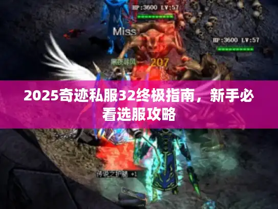 2025奇迹私服32终极指南，新手必看选服攻略