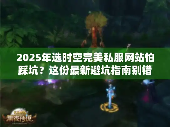 2025年选时空完美私服网站怕踩坑？这份最新避坑指南别错过！