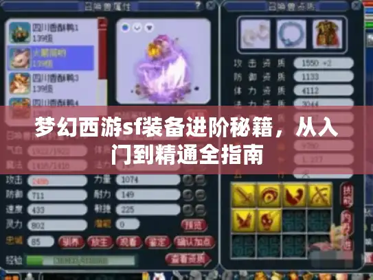 梦幻西游sf装备进阶秘籍，从入门到精通全指南