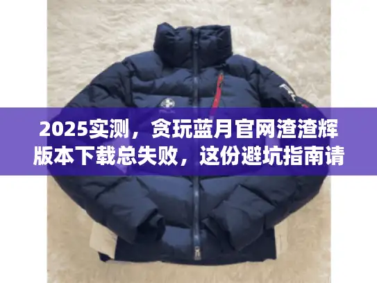 2025实测，贪玩蓝月官网渣渣辉版本下载总失败，这份避坑指南请收好