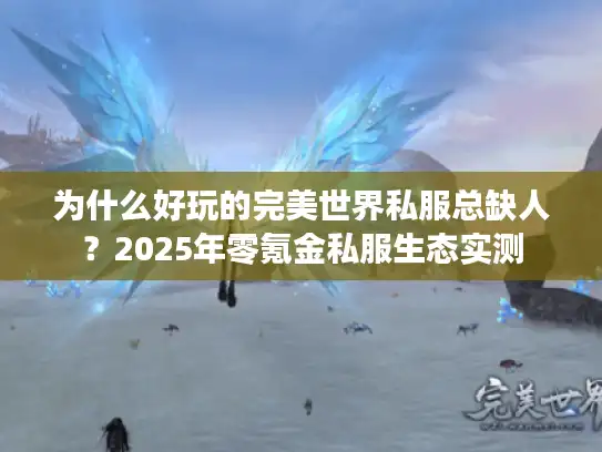 为什么好玩的完美世界私服总缺人？2025年零氪金私服生态实测