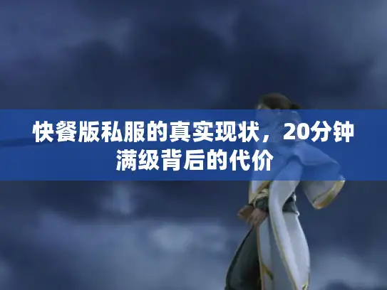 快餐版私服的真实现状，20分钟满级背后的代价