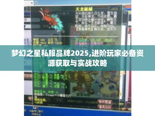 梦幻之星私服品牌2025,进阶玩家必备资源获取与实战攻略