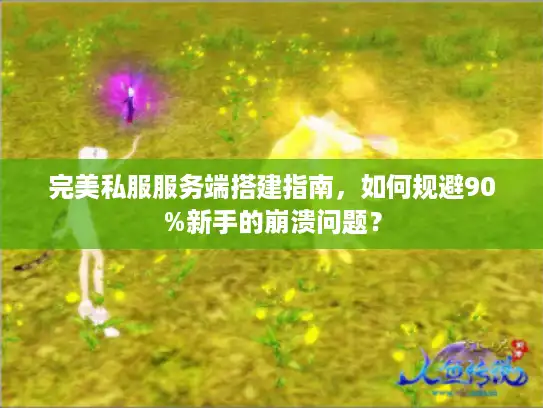 完美私服服务端搭建指南，如何规避90%新手的崩溃问题？