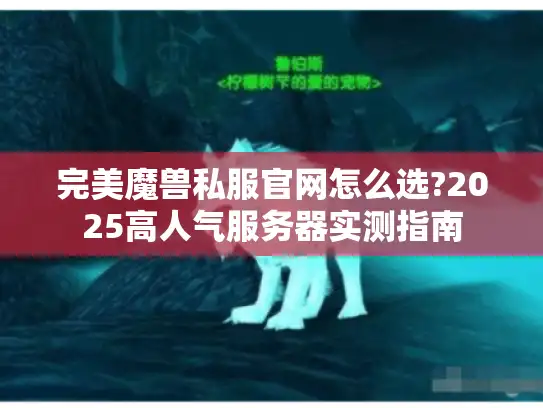 完美魔兽私服官网怎么选?2025高人气服务器实测指南