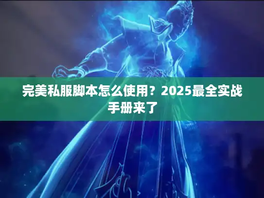 完美私服脚本怎么使用？2025最全实战手册来了