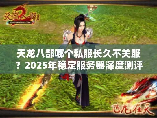 天龙八部哪个私服长久不关服？2025年稳定服务器深度测评