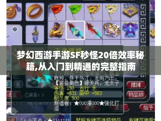 梦幻西游手游SF秒怪20倍效率秘籍,从入门到精通的完整指南