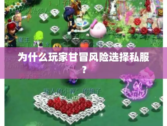为什么玩家甘冒风险选择私服？