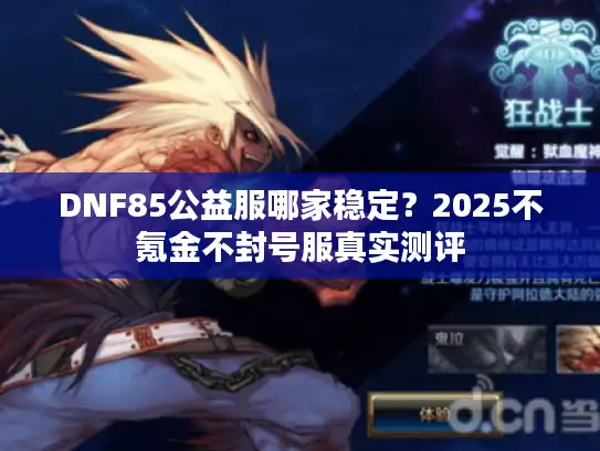 DNF85公益服哪家稳定？2025不氪金不封号服真实测评