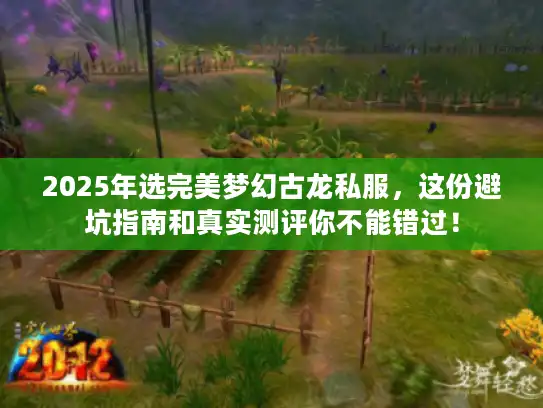 2025年选完美梦幻古龙私服，这份避坑指南和真实测评你不能错过！