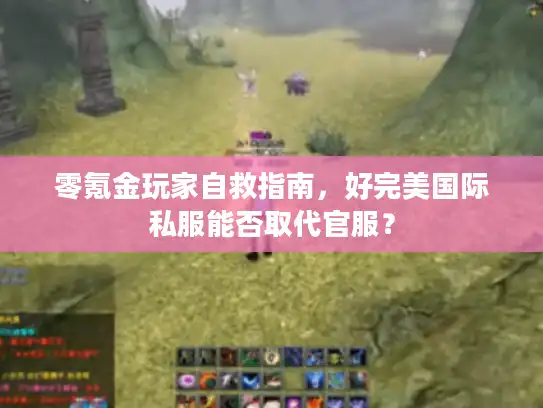 零氪金玩家自救指南,好完美国际私服能否取代官服? 零氪金玩家自救指南,好完美国际私服能否取代官服?