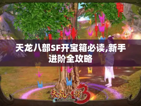 天龙八部SF开宝箱必读,新手进阶全攻略