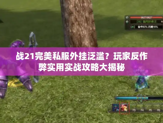 战21完美私服外挂泛滥?玩家反作弊实用实战攻略大揭秘 战21完美私服外挂泛滥?玩家反作弊实用实战攻略大揭秘