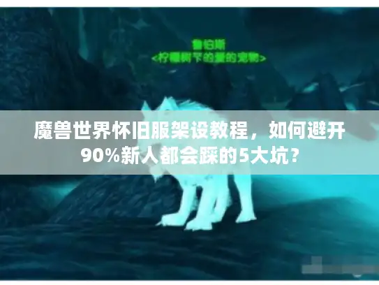 魔兽世界怀旧服架设教程，如何避开90%新人都会踩的5大坑？