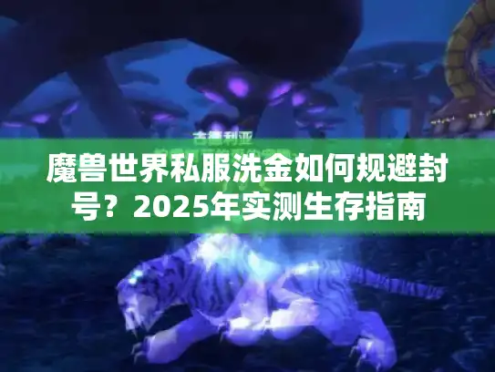 魔兽世界私服洗金如何规避封号？2025年实测生存指南