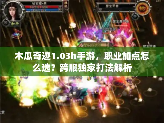 木瓜奇迹1.03h手游，职业加点怎么选？跨服独家打法解析