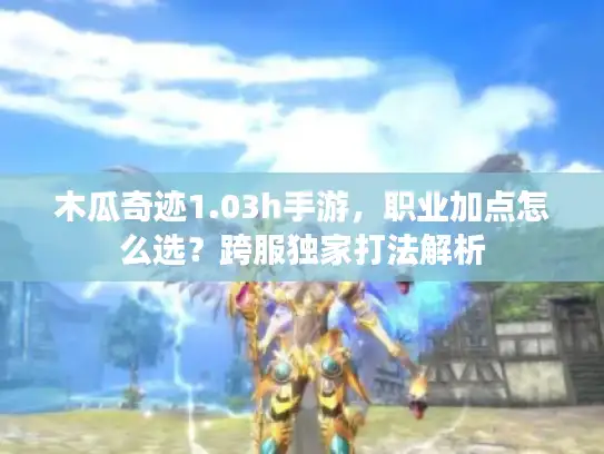 木瓜奇迹1.03h手游，职业加点怎么选？跨服独家打法解析
