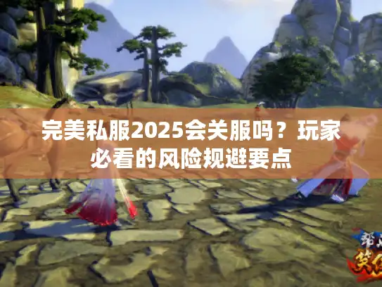 完美私服2025会关服吗？玩家必看的风险规避要点