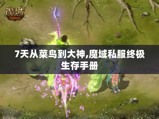 7天从菜鸟到大神,魔域私服终极生存手册