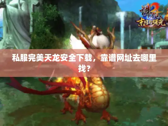 私服完美天龙安全下载，靠谱网址去哪里找？