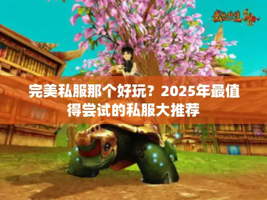 完美私服那个好玩？2025年最值得尝试的私服大推荐
