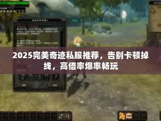 2025完美奇迹私服推荐，告别卡顿掉线，高倍率爆率畅玩