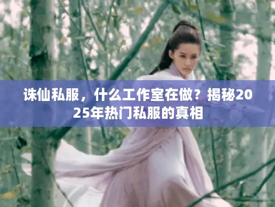 诛仙私服，什么工作室在做？揭秘2025年热门私服的真相