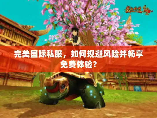 完美国际私服，如何规避风险并畅享免费体验？