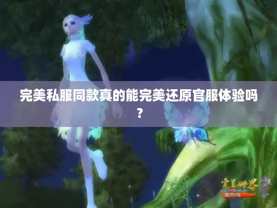 完美私服同款真的能完美还原官服体验吗？