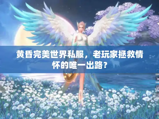 黄昏完美世界私服,老玩家拯救情怀的唯一出路? 黄昏完美世界私服,老玩家拯救情怀的唯一出路?