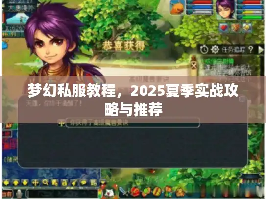 梦幻私服教程,2025夏季实战攻略与推荐 梦幻私服教程,2025夏季实战攻略与推荐