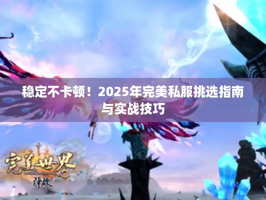 稳定不卡顿!2025年完美私服挑选指南与实战技巧 稳定不卡顿!2025年完美私服挑选指南与实战技巧