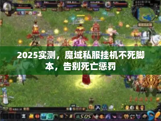 2025实测，魔域私服挂机不死脚本，告别死亡惩罚