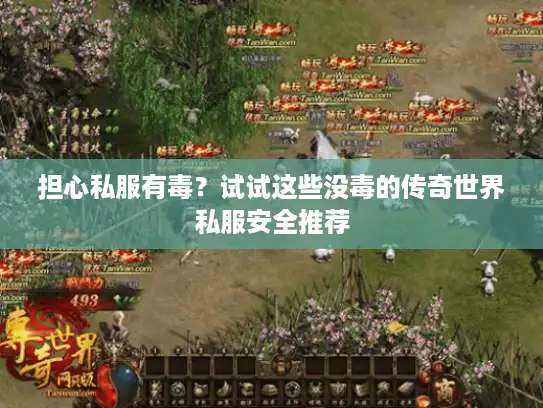 担心私服有毒？试试这些没毒的传奇世界私服安全推荐