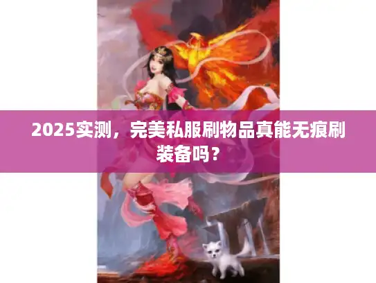 2025实测，完美私服刷物品真能无痕刷装备吗？