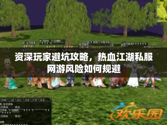 资深玩家避坑攻略，热血江湖私服网游风险如何规避