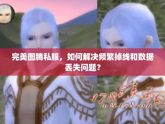 完美图腾私服，如何解决频繁掉线和数据丢失问题？