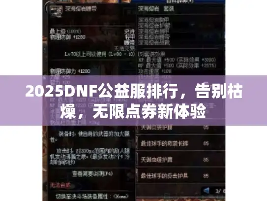 2025DNF公益服排行，告别枯燥，无限点券新体验