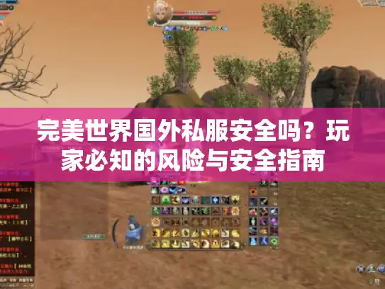 完美世界国外私服安全吗？玩家必知的风险与安全指南