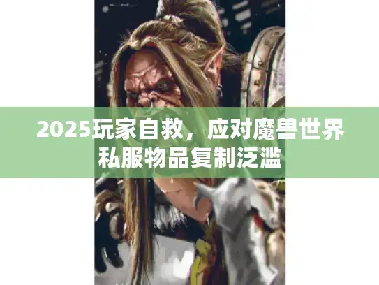 2025玩家自救，应对魔兽世界私服物品复制泛滥