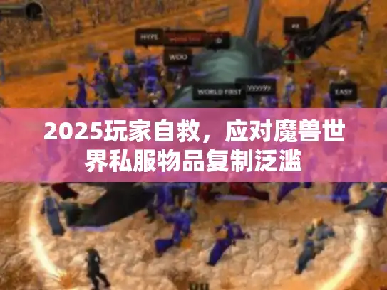 2025玩家自救，应对魔兽世界私服物品复制泛滥