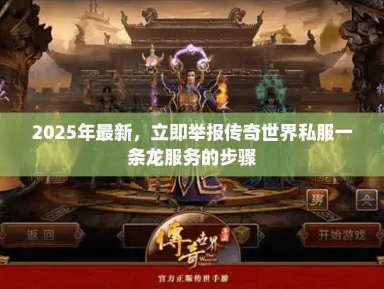2025年最新，立即举报传奇世界私服一条龙服务的步骤