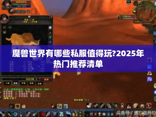 魔兽世界有哪些私服值得玩?2025年热门推荐清单